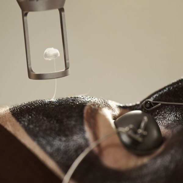 96c8c64e83ef6d702ec24955e63f384b